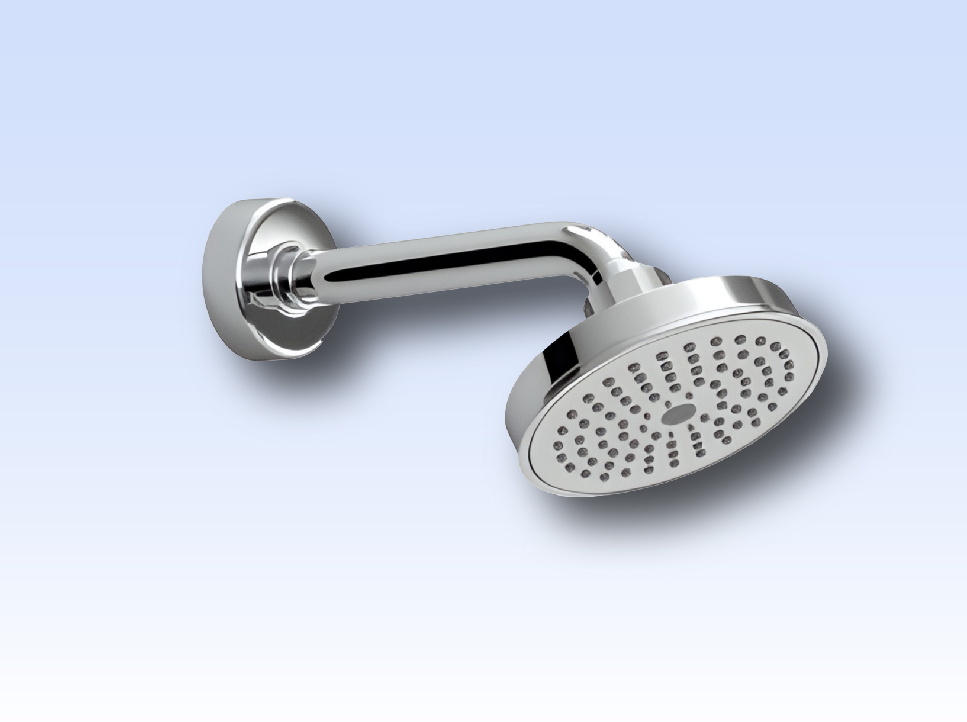 Shower filter installation