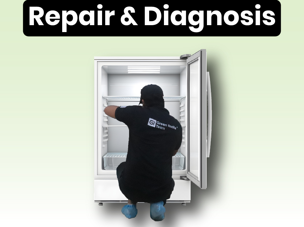 Repair & Diagnosis