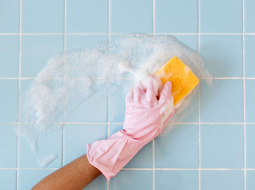 Basic Plan (Starter)